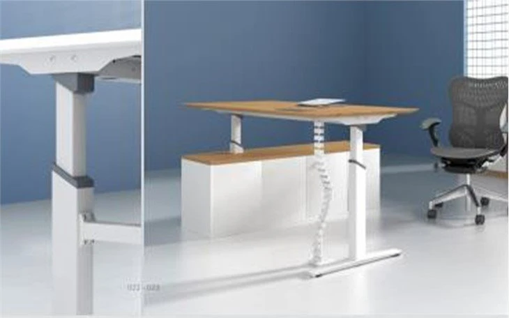 Sit Stand Electric Adjustable Desk